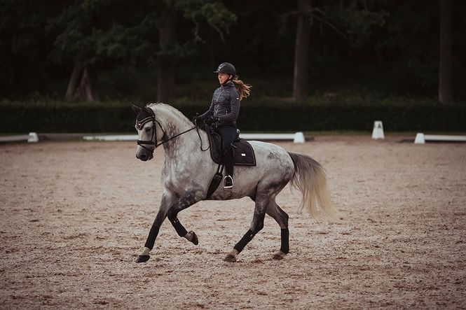 Hovedbilde EQ Stockholm Dressur sjabrakk Dark Sky