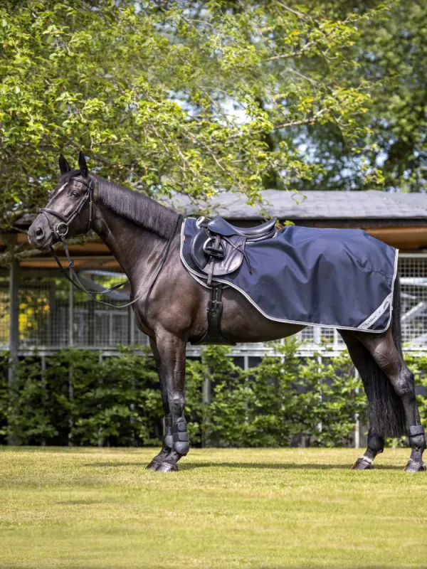 LeMieux Arika Exercise dekken