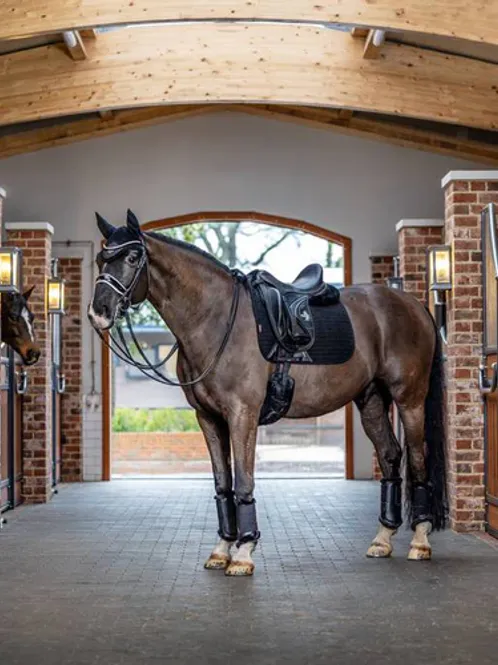 Hovedbilde LeMieux Suede Dressage Square