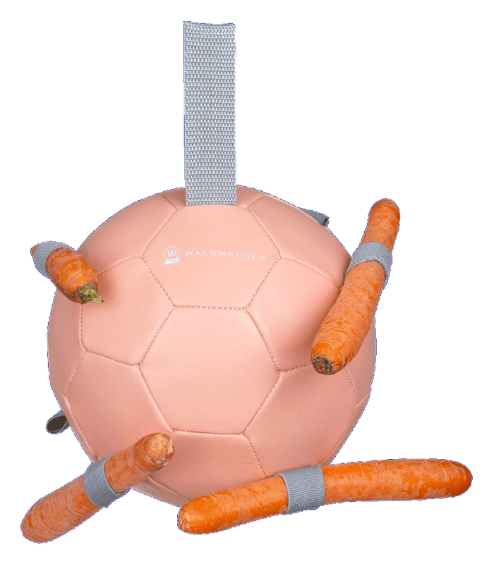 Waldhausen Carrot ball