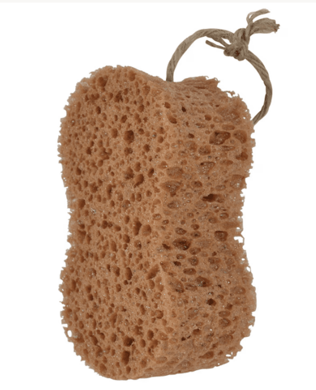 Borstiq Farm Groomingsvamp