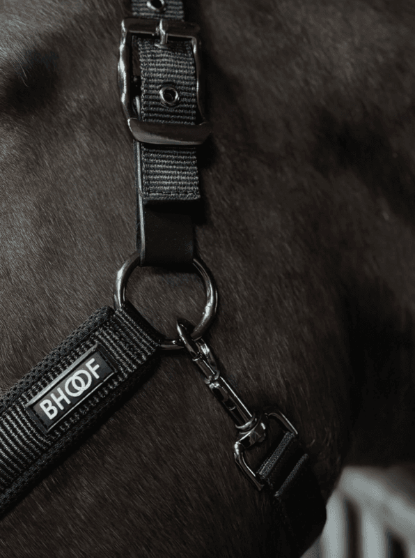 BHOOF HALTER 2 – MESH WITH LEAD ROPE