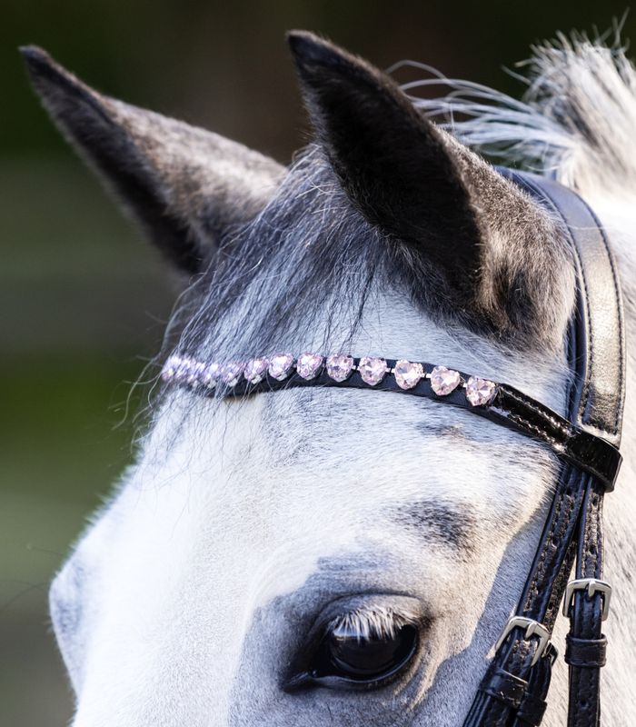 Waldhausen Happy Hearts Hodelag