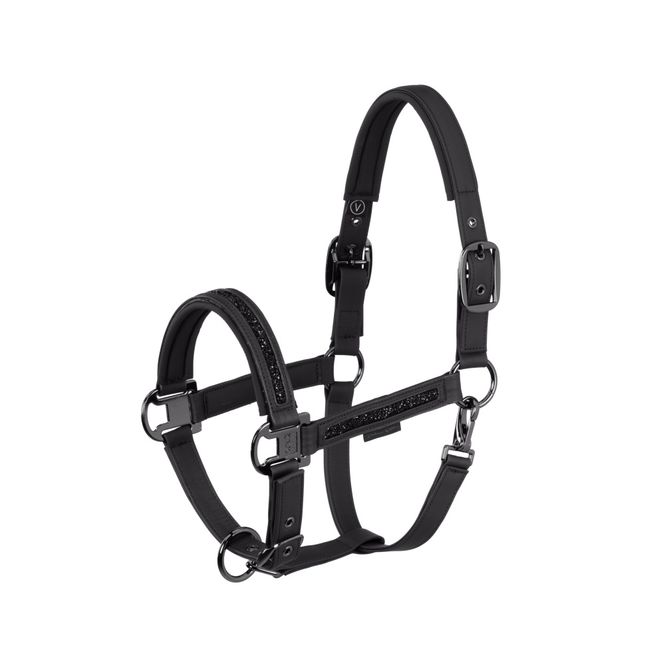 Hovedbilde Eskadron Double pin 
