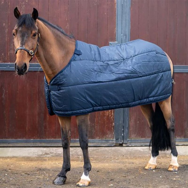 Aloga Pony Liner 200g