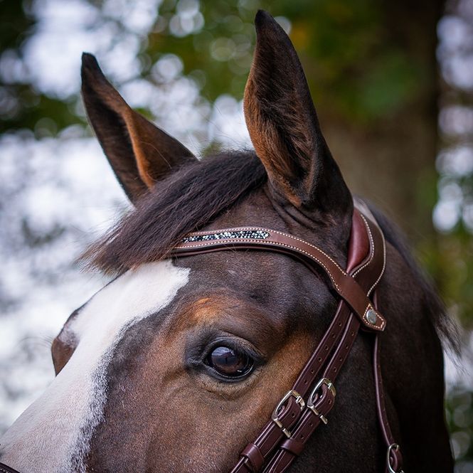 Hovedbilde Antarès Precision Crystal browband