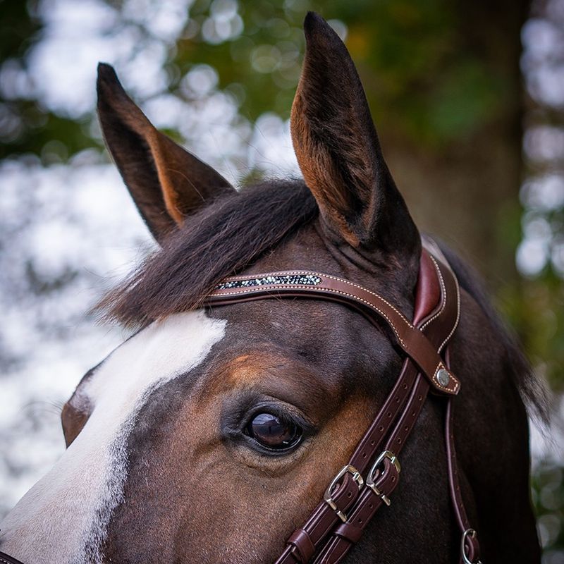 Antarès Precision Crystal browband