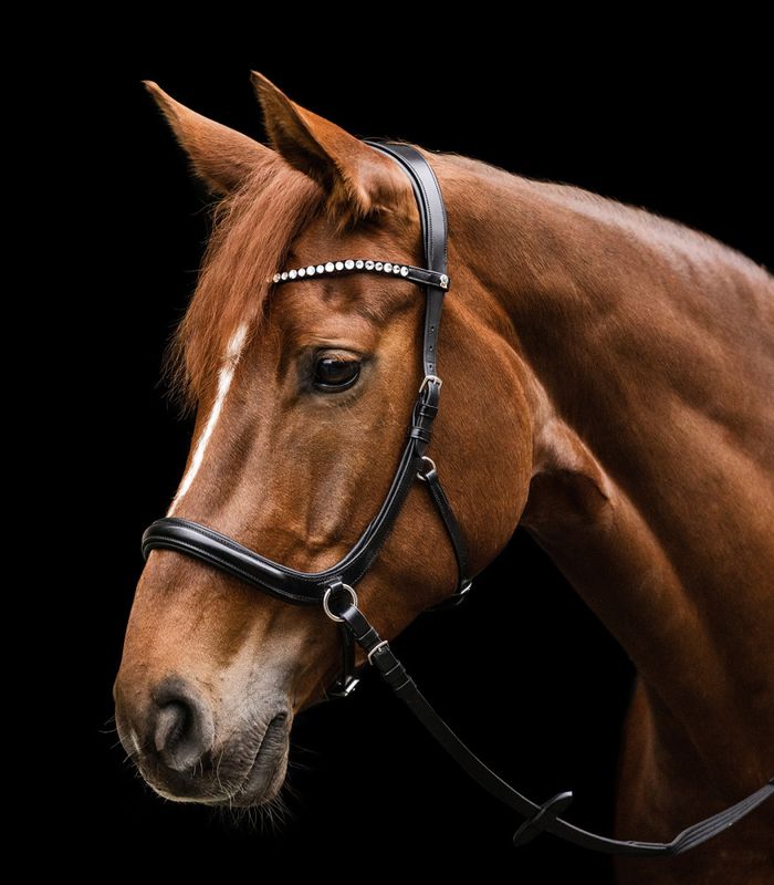 Waldhausen X‑Line Bitless Bridle Sensation