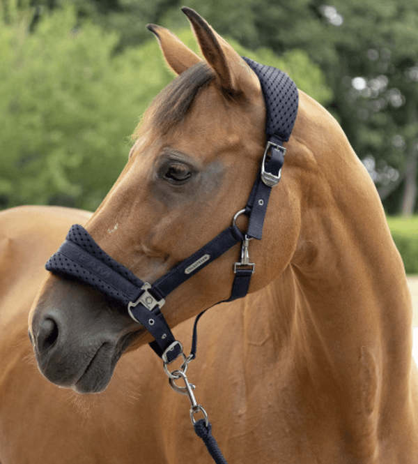 Hovedbilde Coldstream Middleton Air Flow Grime og Leietau 