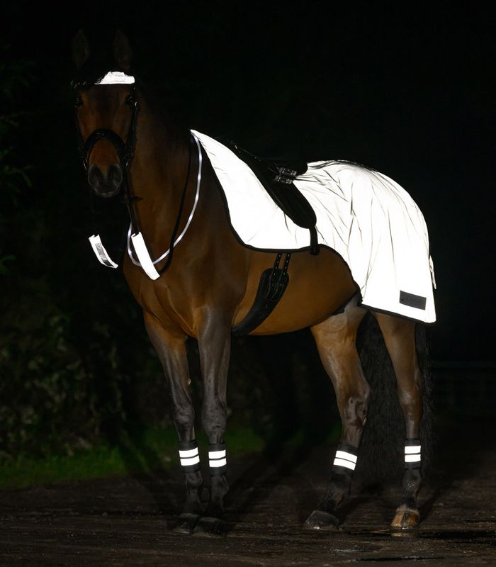 Waldhausen Exercise Rug Reflex