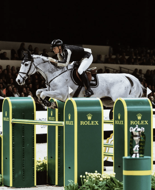 BHOOF BREASTPLATE 2 - HIGH POSITION