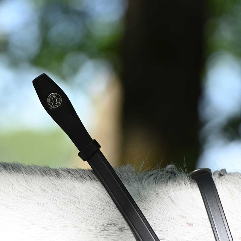 Signature by Antarès Dressage Leather Curb Rein 