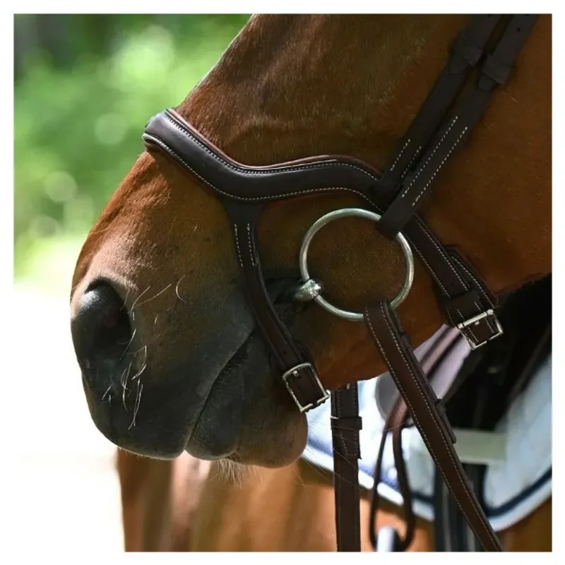 Antarès Precision Y Bridle