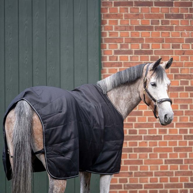 Hovedbilde Aloga Pro Stable 100g