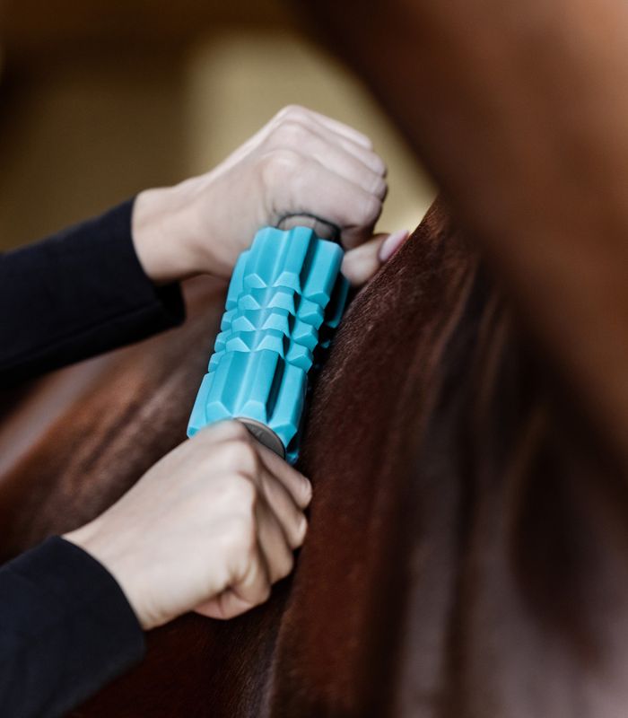 Waldhausen Health + Care Fascia Fit Massasje