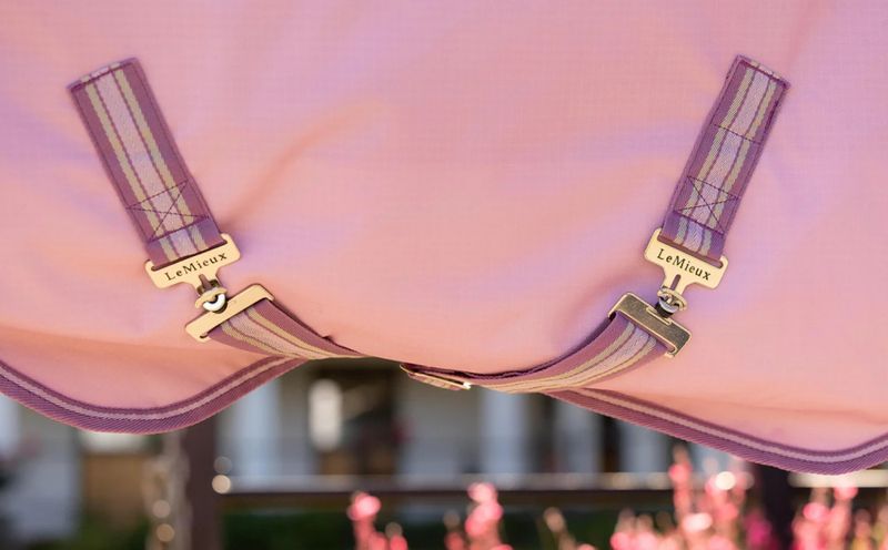 LeMieux Arika Ripstop 0g Turnout Rug Fondant
