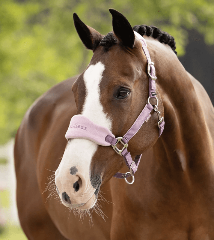 LeMieux SS26 Vogue Grime & Leietau