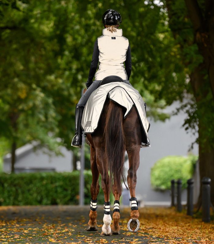Waldhausen Exercise Rug Reflex