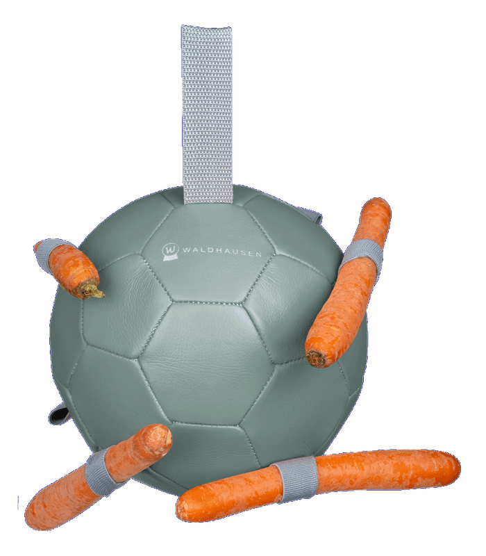 Waldhausen Carrot ball