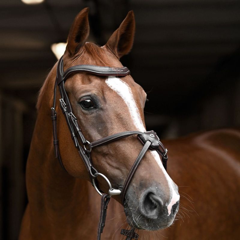 Antarès Signature Hodelag med kryssnesereim