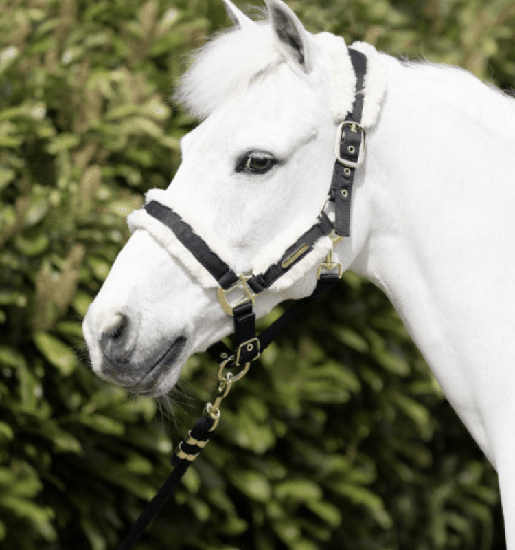 Coldstream Langlee Luxury Grime og Leietau - Sort