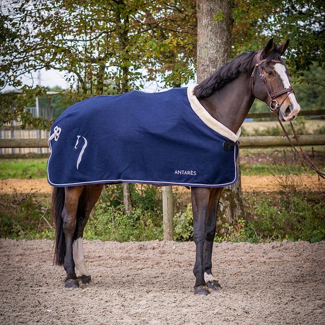 Hovedbilde Antarès Wool Rug 