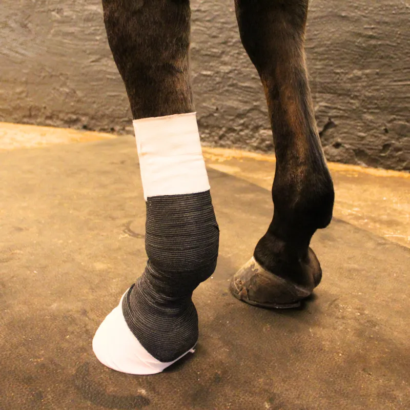 Vetprovide Muggkit