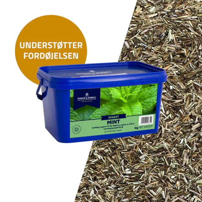 Hovedbilde D&H Mint - Myntepulver - 1 kg