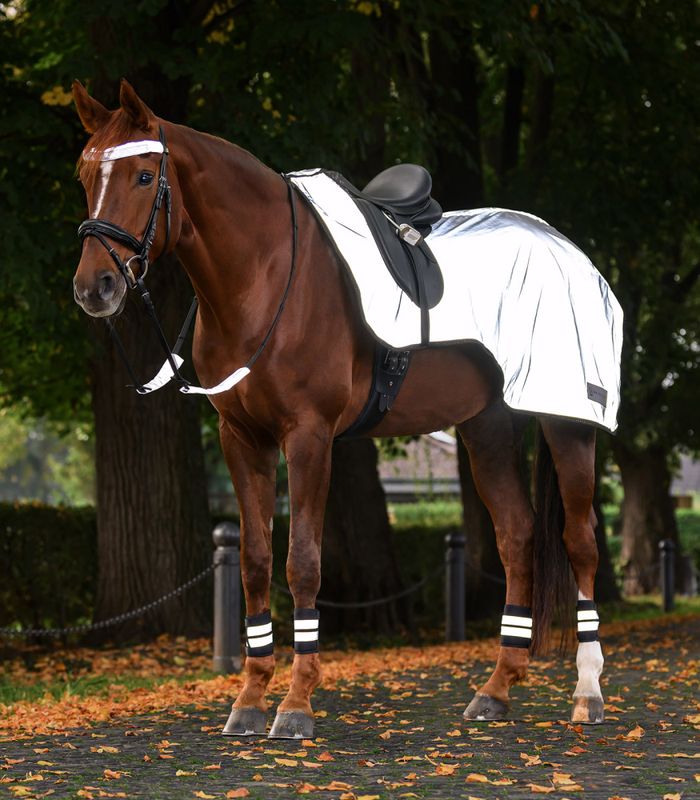 Waldhausen Exercise Rug Reflex